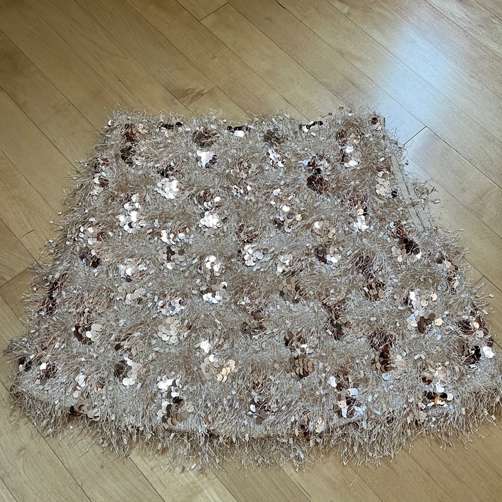 NWOT Zara Skirt